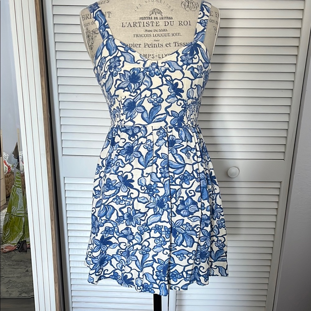Floral Blue and White Dress